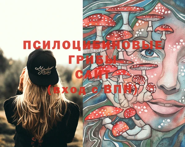 шишки Алексеевка
