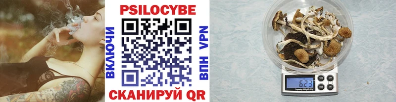 Псилоцибиновые грибы Cubensis  Заводоуковск 