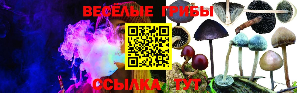 Псилоцибиновые грибы мухоморы  Вход с VPN  Заводоуковск 