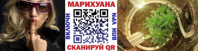 продажа наркотиков  Заводоуковск  Конопля Bruce Banner 